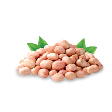 export peanuts