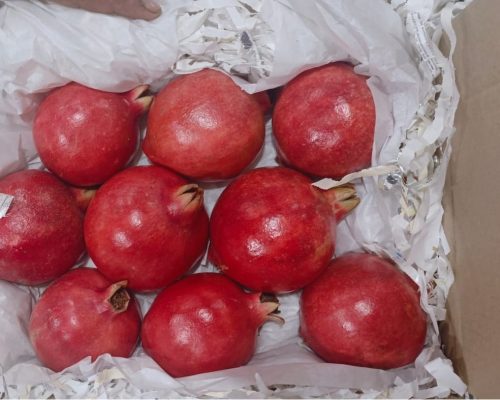 Fresh Pomegranate Exporters in India