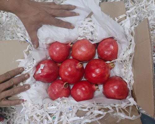 Fresh Pomegranate Exporters in India