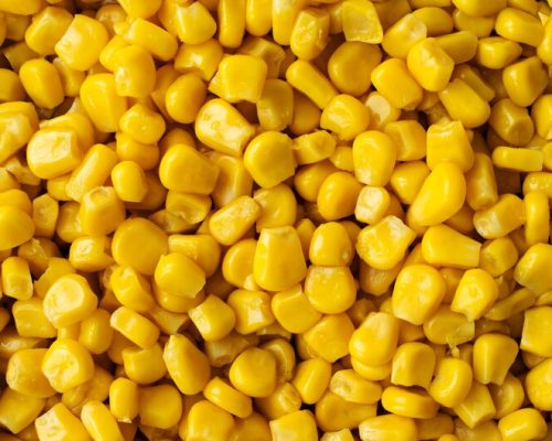 [freepicdownloader.com]-close-up-texture-corn-medium