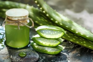 [freepicdownloader.com]-fresh-slices-aloe-vera-leaves-covered-water-drops-isolated-plain-light-background-view-from-medium